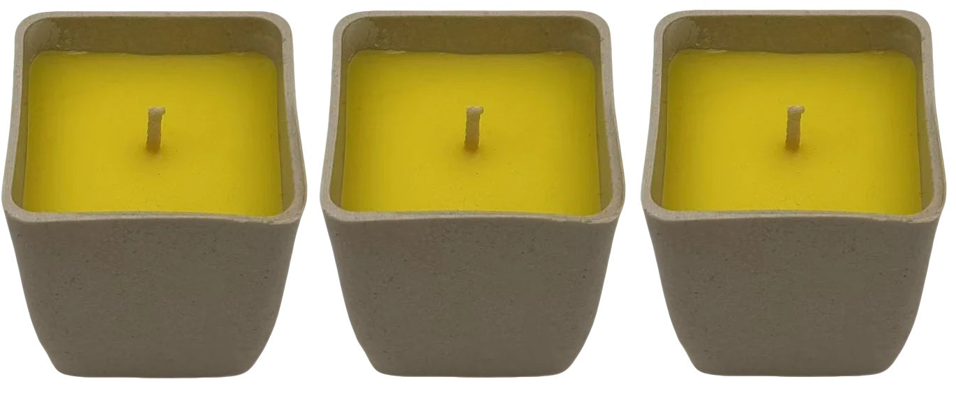 Quest citronella bug/insect repellant candle (pack of 3)