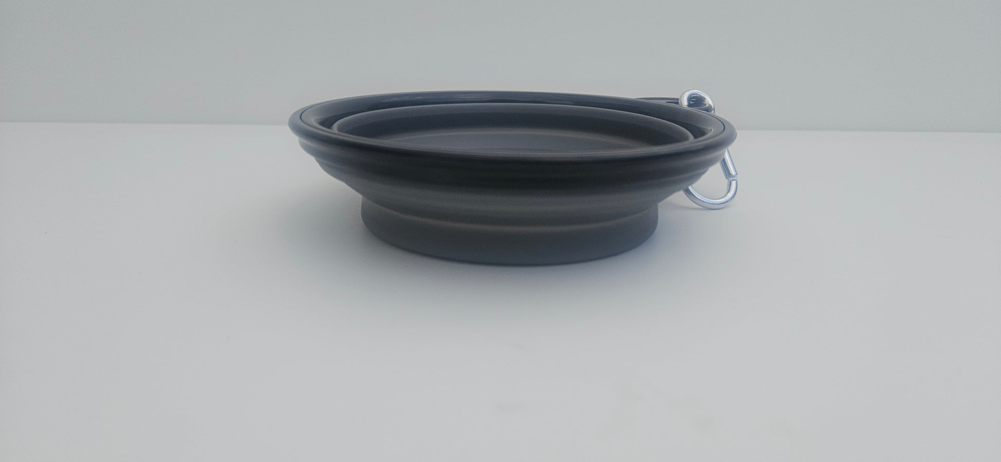 Quest small collapsible pet bowl 230ml