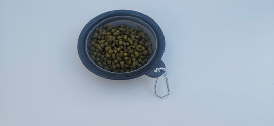 Quest small collapsible pet bowl 230ml