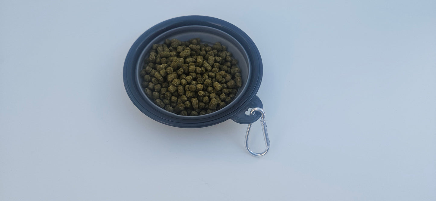 Quest small collapsible pet bowl 230ml