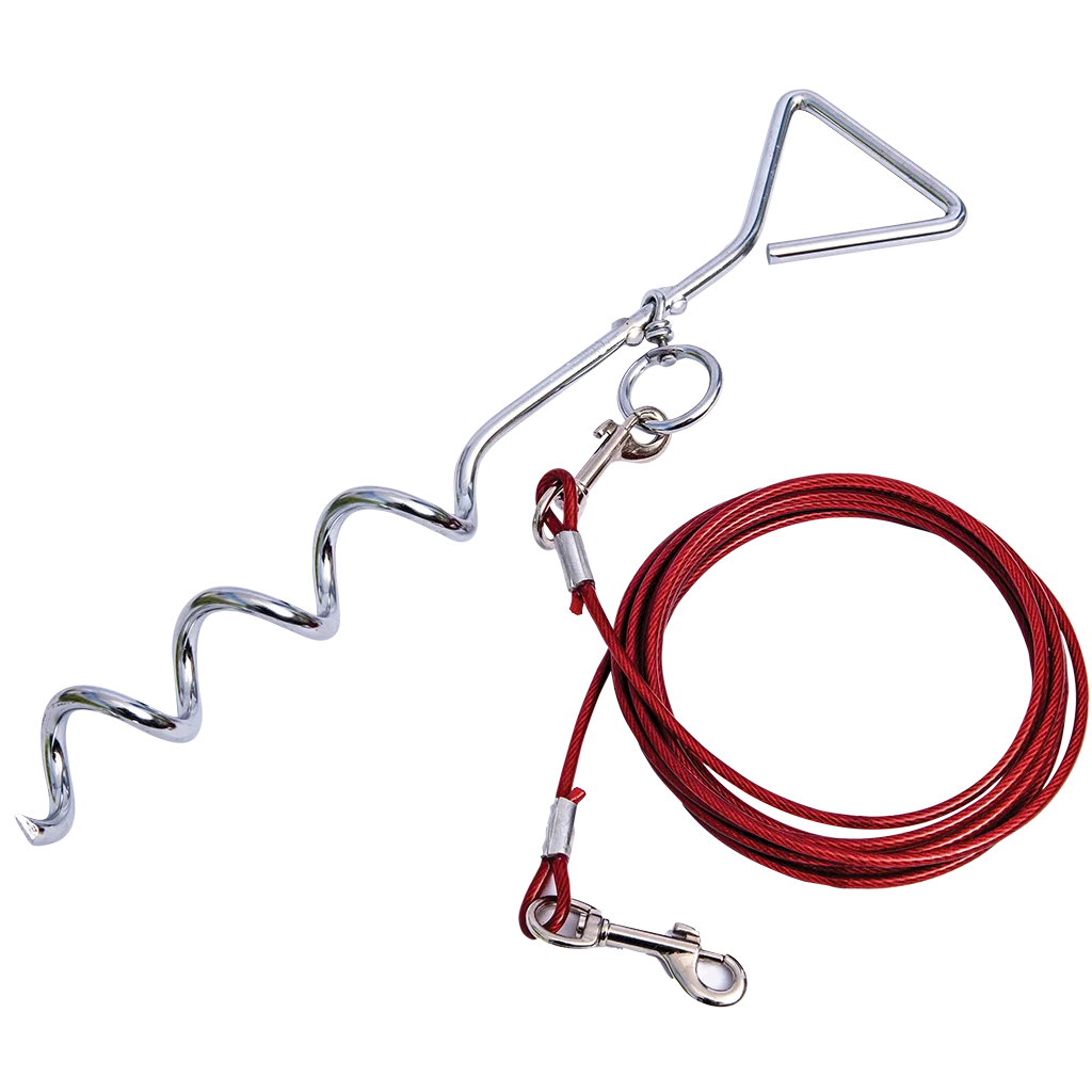 Quest dog pet anchor including 4M lead