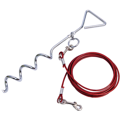 Quest dog pet anchor including 4M lead