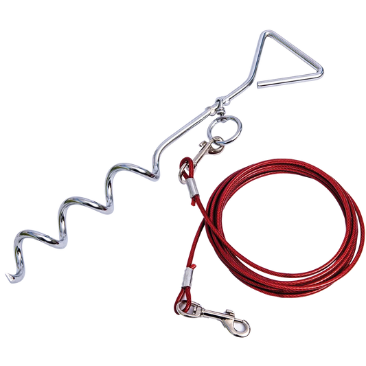 Quest dog pet anchor including 4M lead