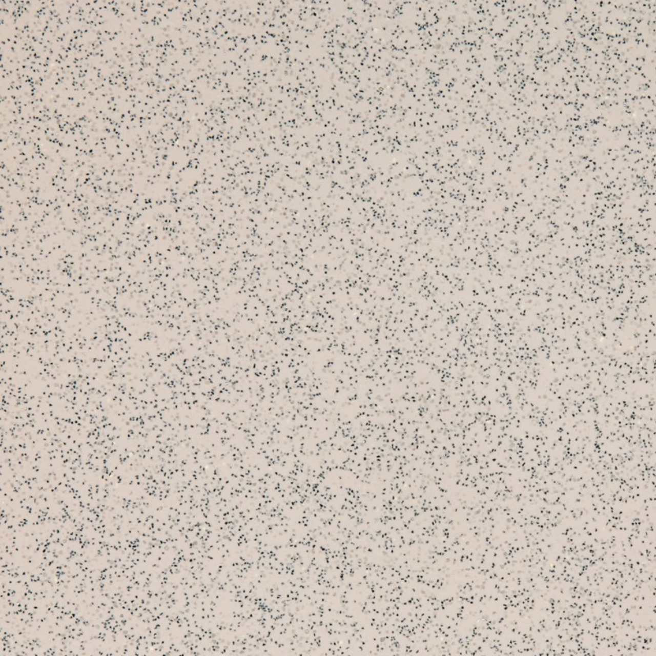 Altro T5 T6 Rear Van Flooring Cut To Shape – Product Image